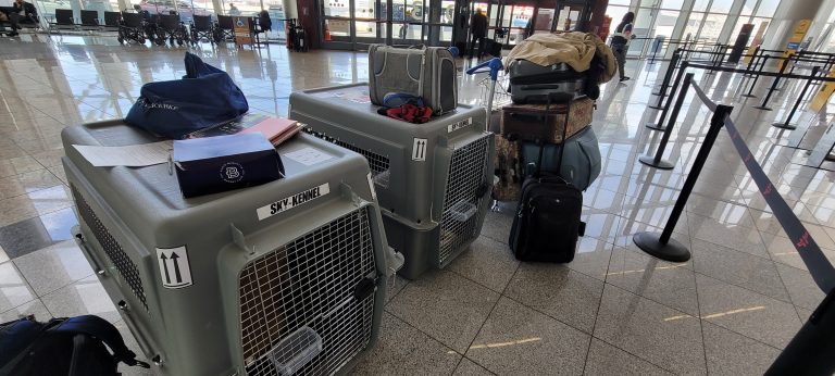 A New Chapter Awaits